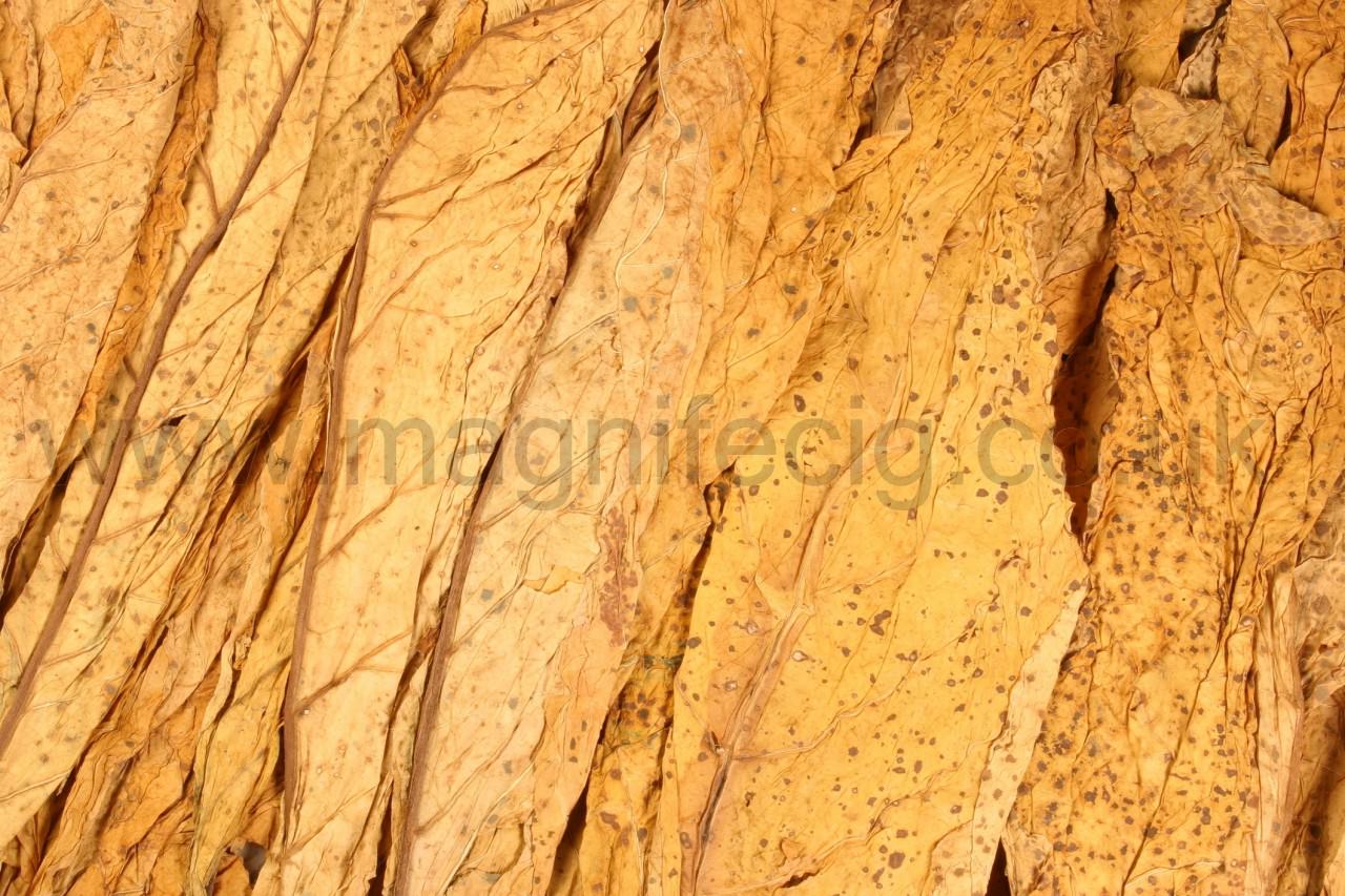 Magnifecig Virginia Tobacco E Liquid