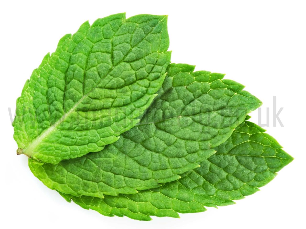 Magnifecig Menthol E Liquid